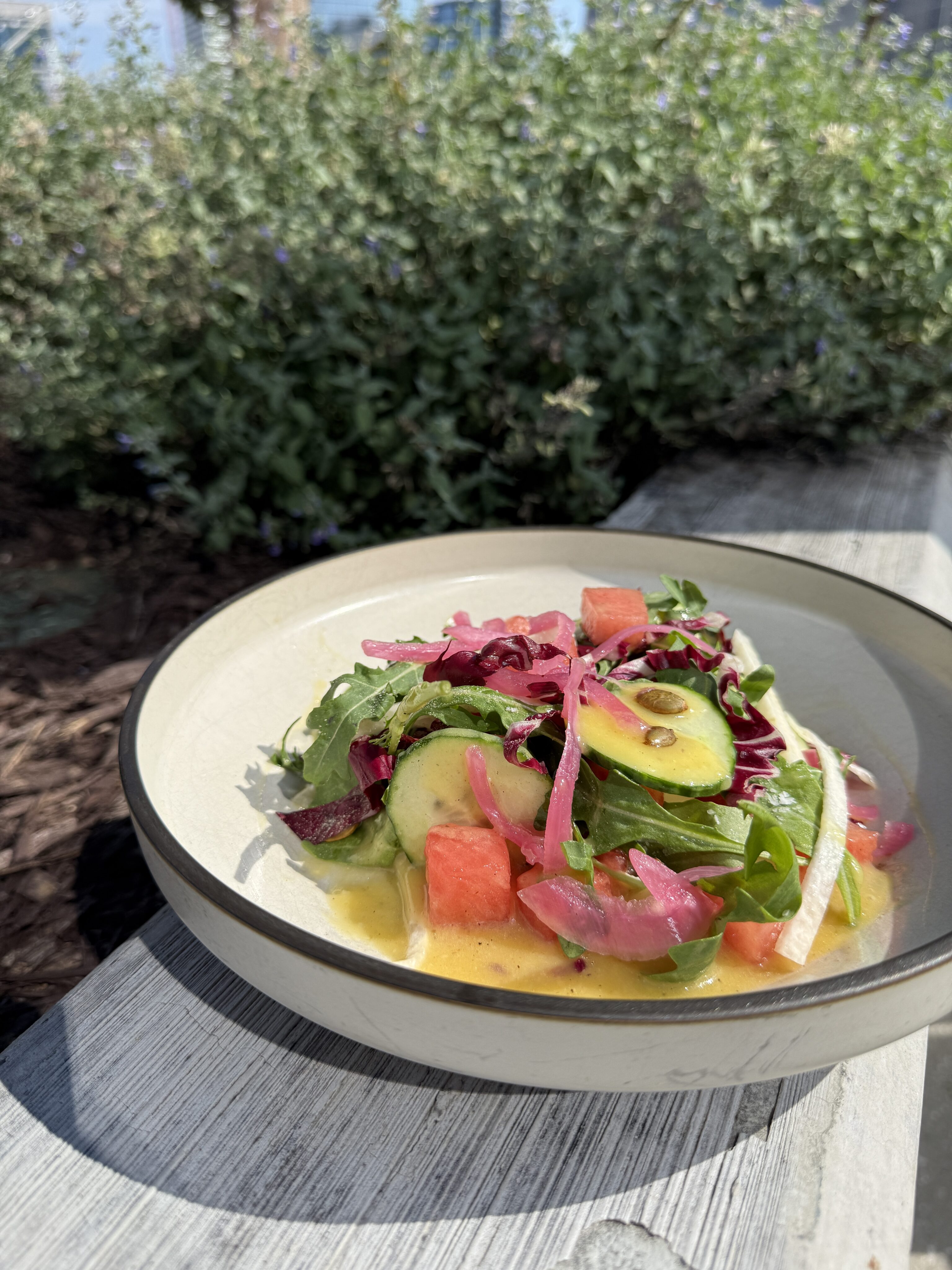 A bowl of salad with avocado, greens, watermelon, pickled onions, and dressing sits on a wooden surface outdoors with greenery in the background.